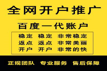 提升转化率：SEM竞价专员的案例研究